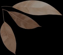 Physical therapy equipment