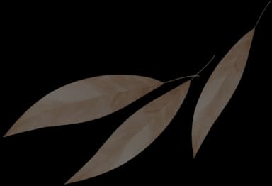 Rehabilitation exercise